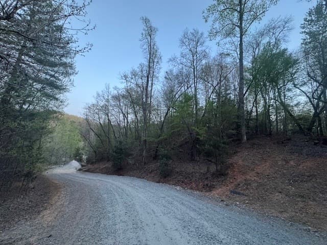 Lot 5 Riverbend Manor, Blue Ridge GA 30513 - Photo