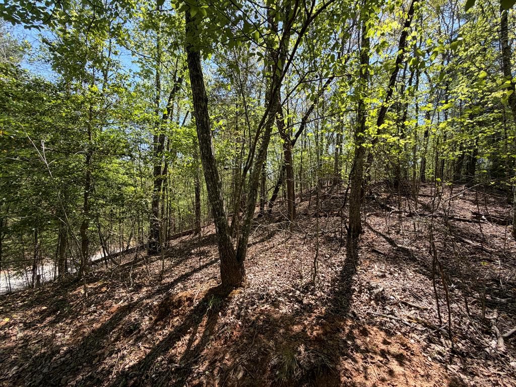 Lot 5 Riverbend Manor, Blue Ridge GA 30513 - Photo