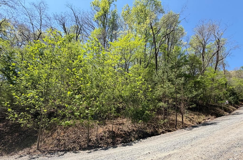 Lot 5 Riverbend Manor, Blue Ridge GA 30513 - Photo