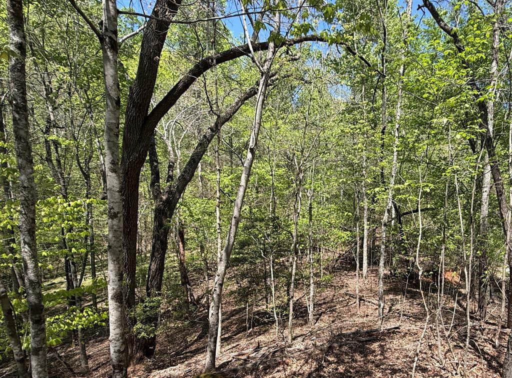 Lot 5 Riverbend Manor, Blue Ridge GA 30513 - Photo