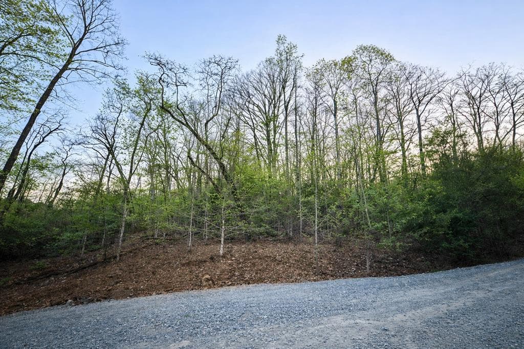 Lot 5 Riverbend Manor, Blue Ridge GA 30513 - Photo