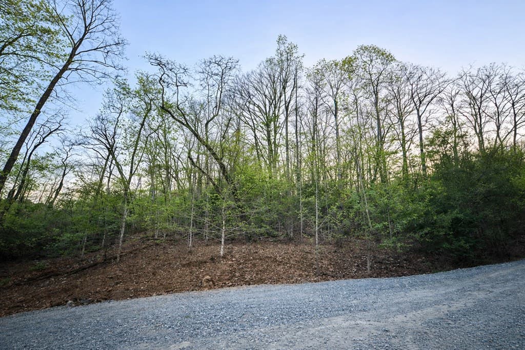 Lot 5 Riverbend Manor, Blue Ridge GA 30513 - Photo