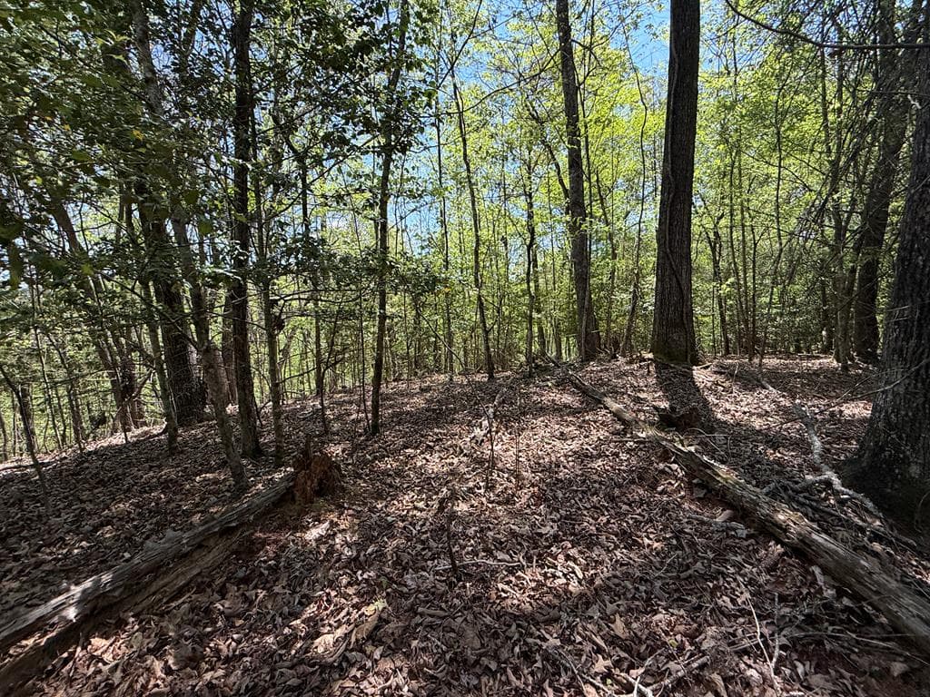 Lot 5 Riverbend Manor, Blue Ridge GA 30513 - Photo