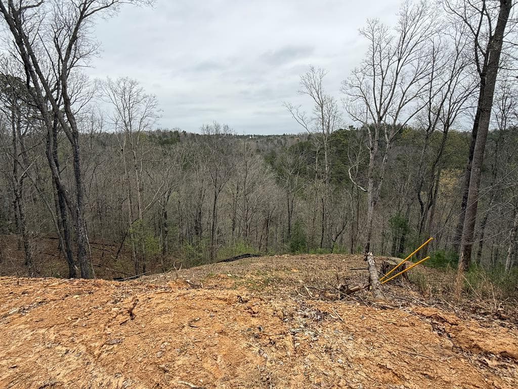 135 Flat Ridge Road, Ellijay GA 30540 - Photo