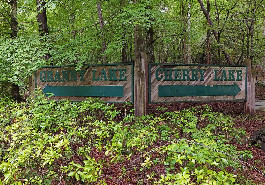 73 Rosiey Lane, Blue Ridge GA 30513 - Photo