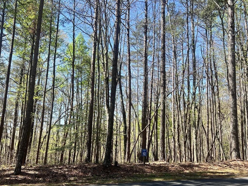 Lot 92 Doll Mountain Road, Ellijay GA 30540 - Primary photo