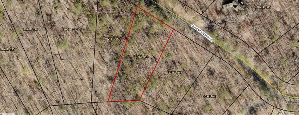 Lot 92 Doll Mountain Road, Ellijay GA 30540 - Photo
