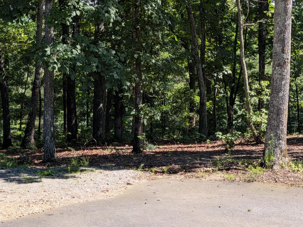 12 Daisy Drive, Brasstown NC 28902 - Photo