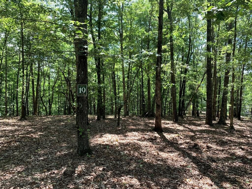 12 Daisy Drive, Brasstown NC 28902 - Photo