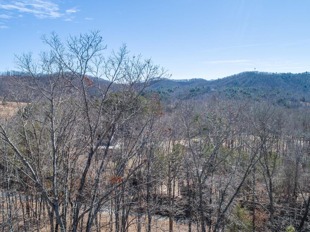 12 Daisy Drive, Brasstown NC 28902 - Photo