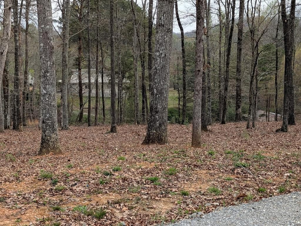 12 Daisy Drive, Brasstown NC 28902 - Photo