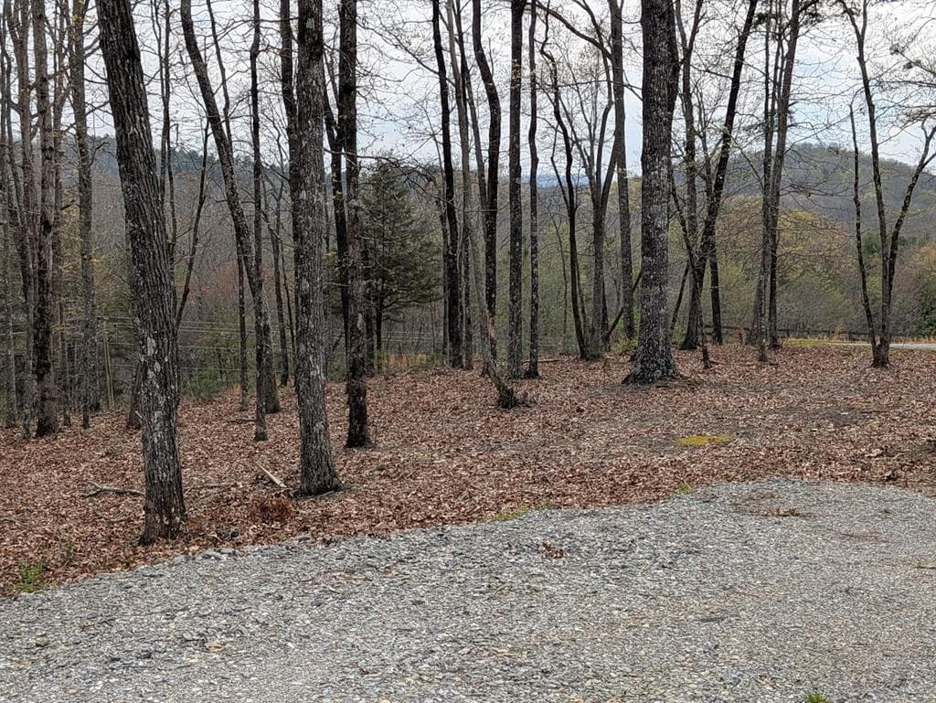 12 Daisy Drive, Brasstown NC 28902 - Photo