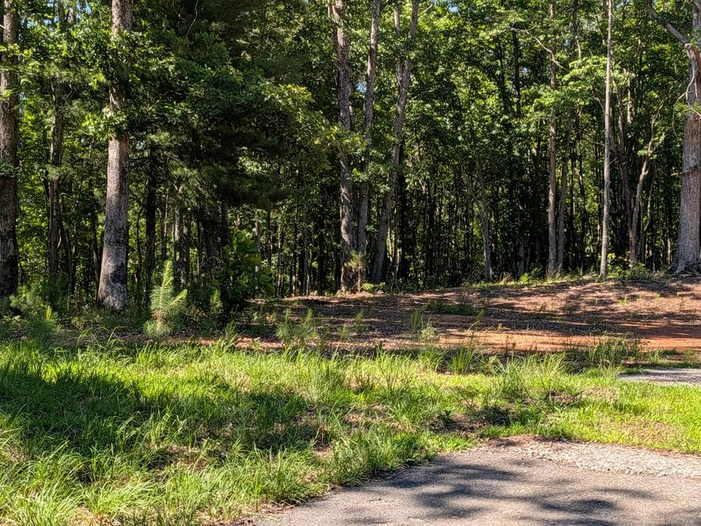 12 Daisy Drive, Brasstown NC 28902 - Photo