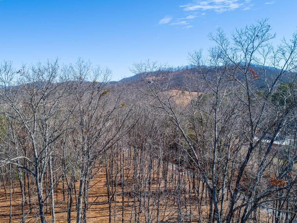 12 Daisy Drive, Brasstown NC 28902 - Photo