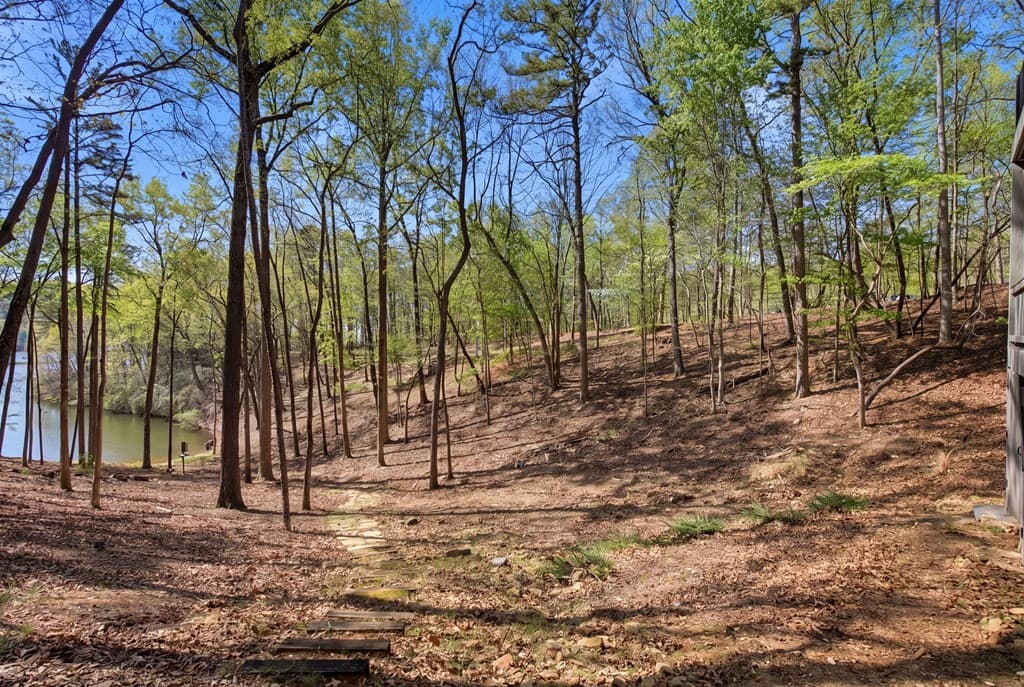 33 Kingfisher Point, Big Canoe GA 30143 - Photo