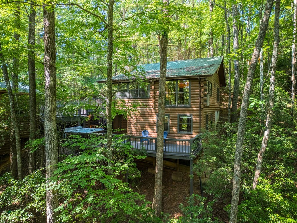 556 Cherry Lake Drive, Cherry Log GA 30522 - Photo