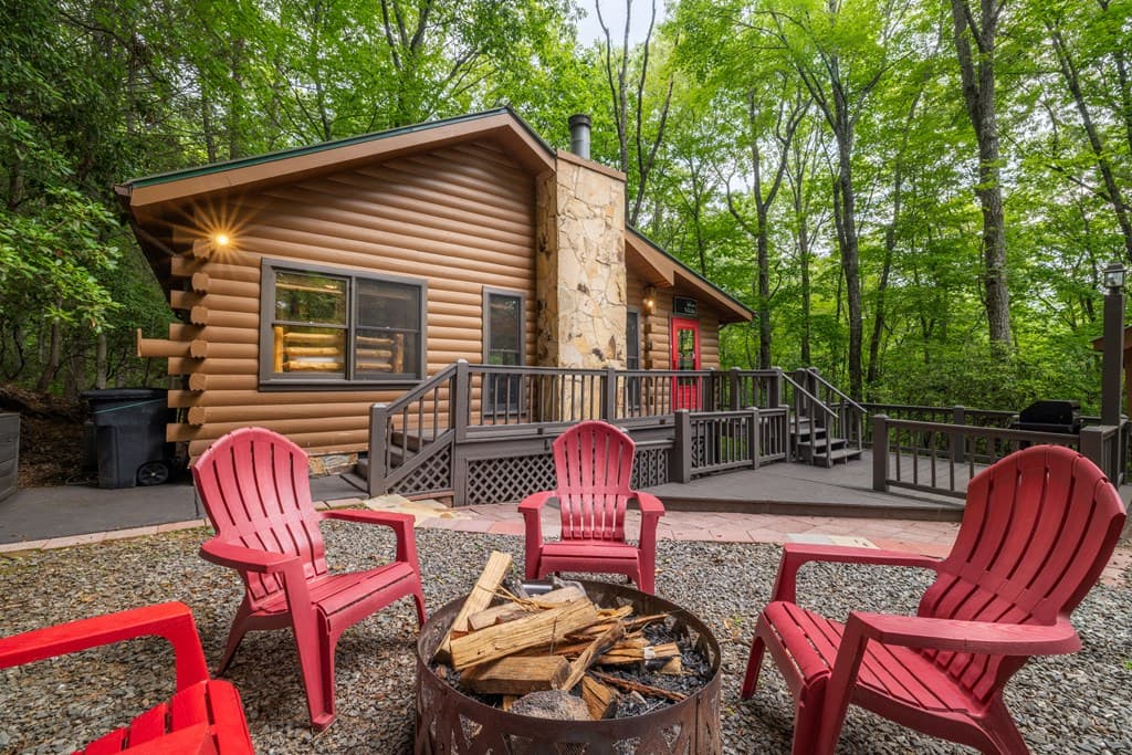 556 Cherry Lake Drive, Cherry Log GA 30522 - Photo