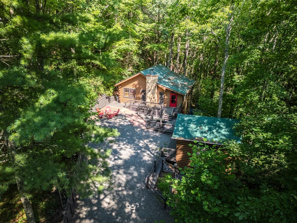556 Cherry Lake Drive, Cherry Log GA 30522 - Photo