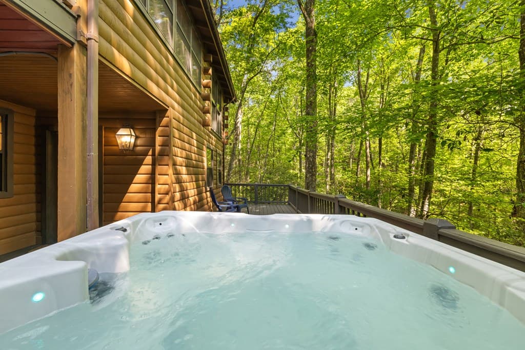 556 Cherry Lake Drive, Cherry Log GA 30522 - Photo