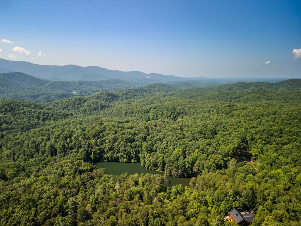 556 Cherry Lake Drive, Cherry Log GA 30522 - Photo