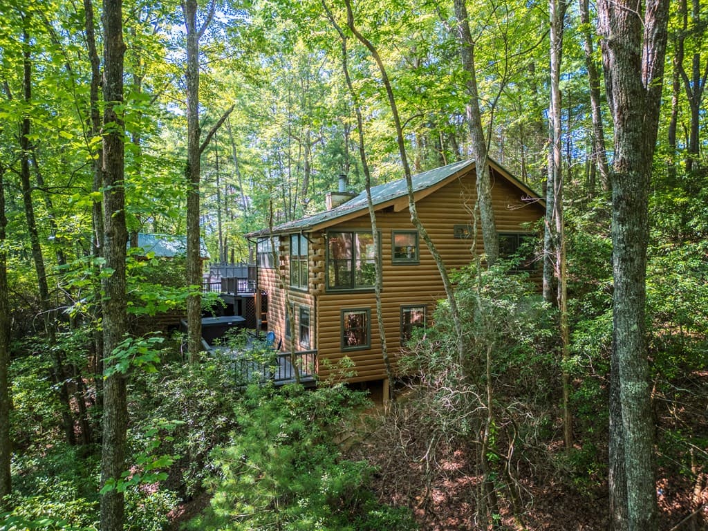 556 Cherry Lake Drive, Cherry Log GA 30522 - Photo