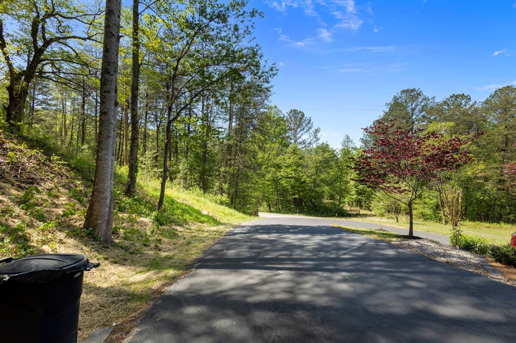 2960 Trackrock Church Road, Blairsville GA 30512 - Photo