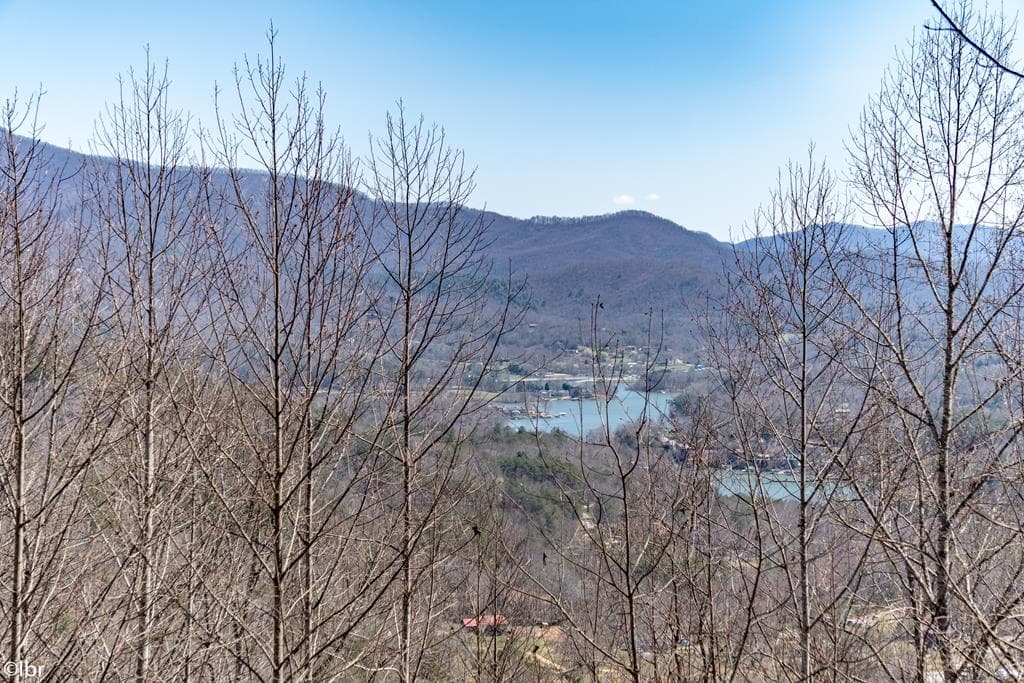 1710 B Summit Trail, Hiawassee GA 30546 - Photo