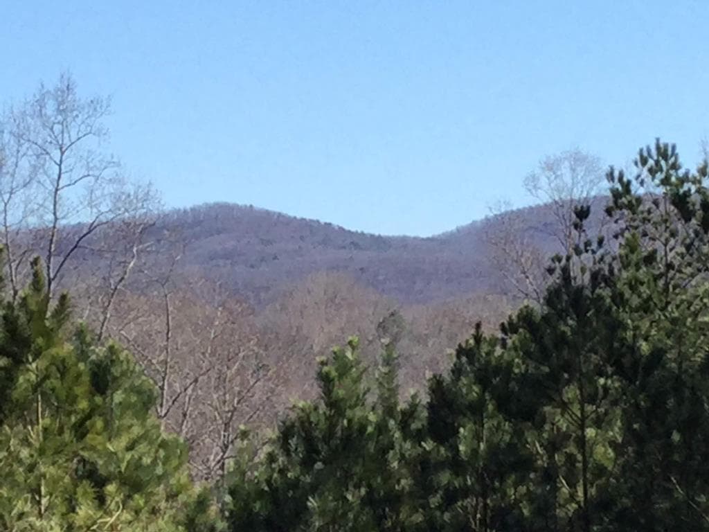716 Old Pleasant Valley, Talking Rock GA 30175 - Photo