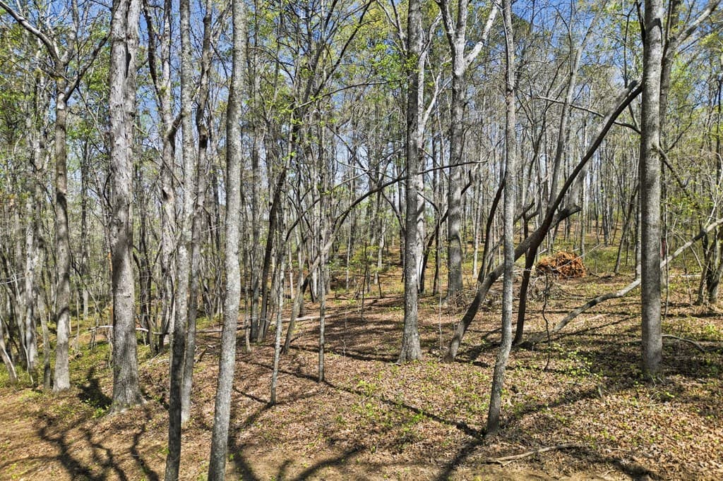 129 Heritage Plantation, Ball Ground GA 30107 - Photo