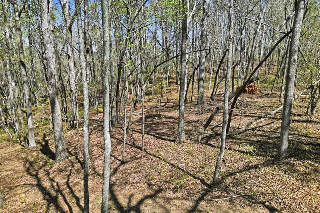 125 Heritage Plantation, Ball Ground GA 30107 - Photo