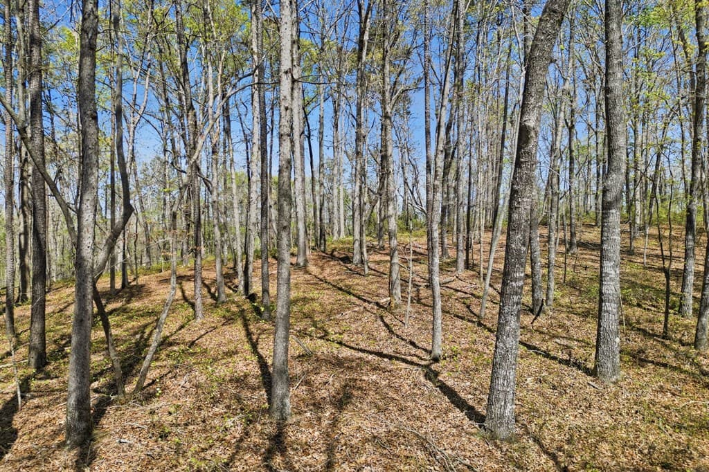 125 Heritage Plantation, Ball Ground GA 30107 - Photo