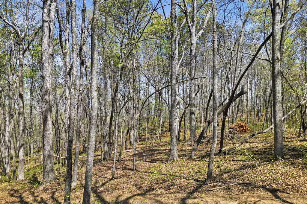 121 Heritage Plantation, Ball Ground GA 30107 - Photo