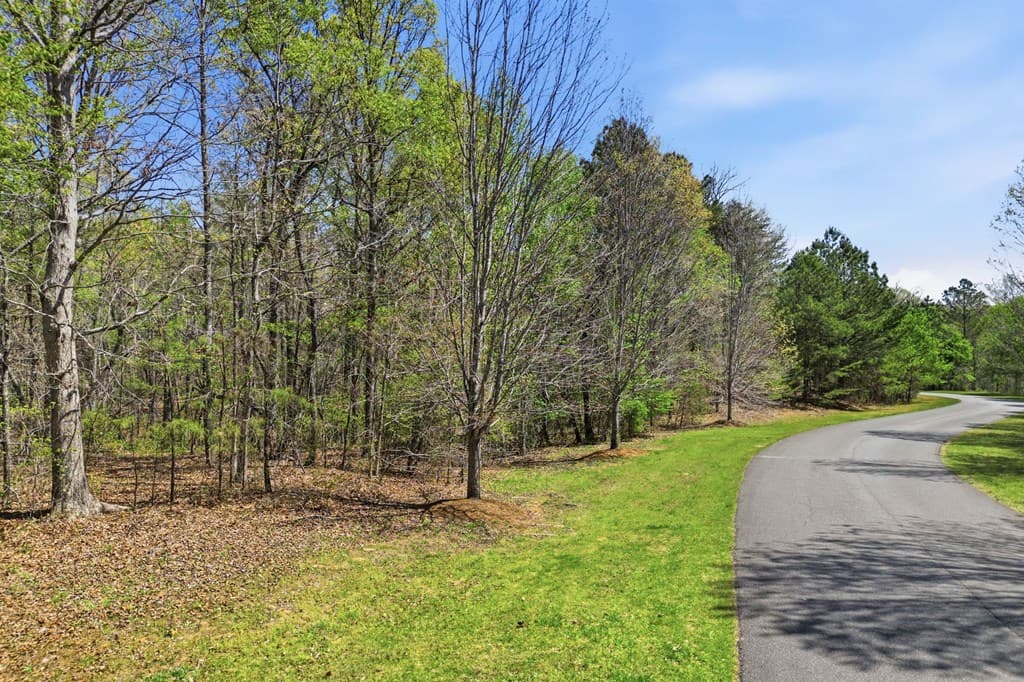 121 Heritage Plantation, Ball Ground GA 30107 - Photo