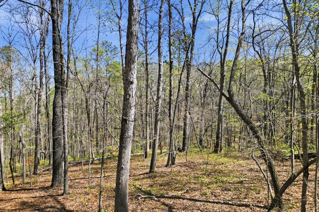 117 Heritage Plantation, Ball Ground GA 30107 - Photo