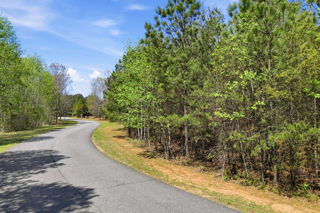 117 Heritage Plantation, Ball Ground GA 30107 - Photo