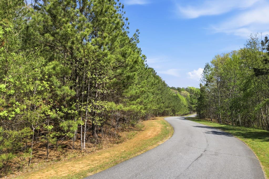 117 Heritage Plantation, Ball Ground GA 30107 - Photo