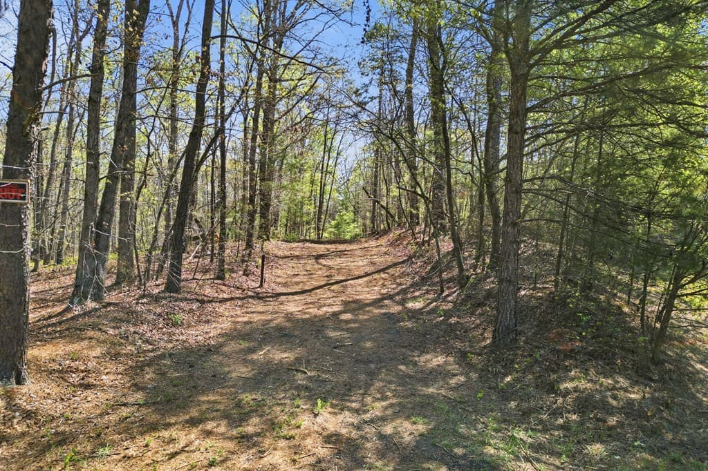 117 Heritage Plantation, Ball Ground GA 30107 - Photo