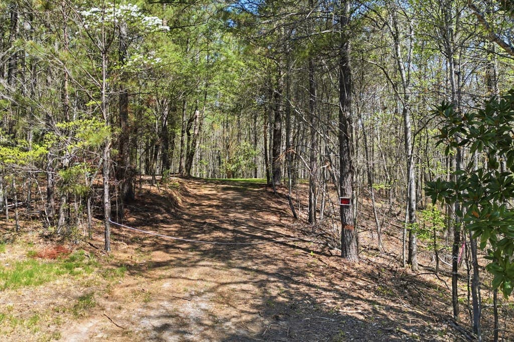 117 Heritage Plantation, Ball Ground GA 30107 - Photo