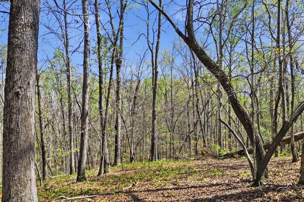 3094 Flat Bottom Road, Ball Ground GA 30107 - Photo