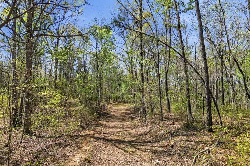 3102 Flat Bottom Road, Ball Ground GA 30107 - Primary photo
