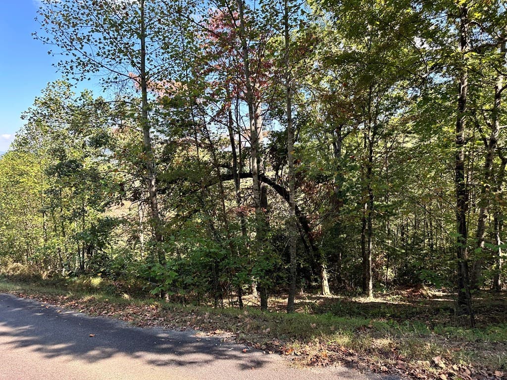 Lot 3 Ruby Ridge, Young Harris GA 30582 - Photo
