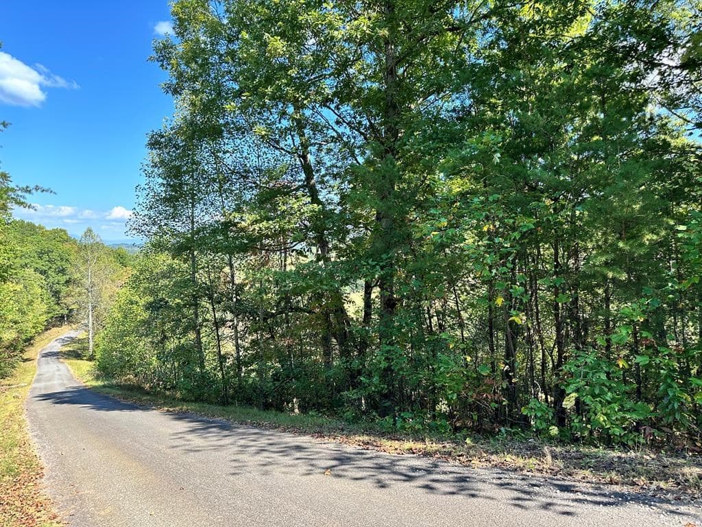 Lot 3 Ruby Ridge, Young Harris GA 30582 - Photo