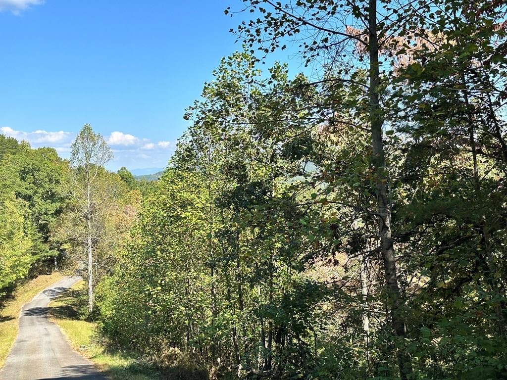 Lot 3 Ruby Ridge, Young Harris GA 30582 - Primary photo