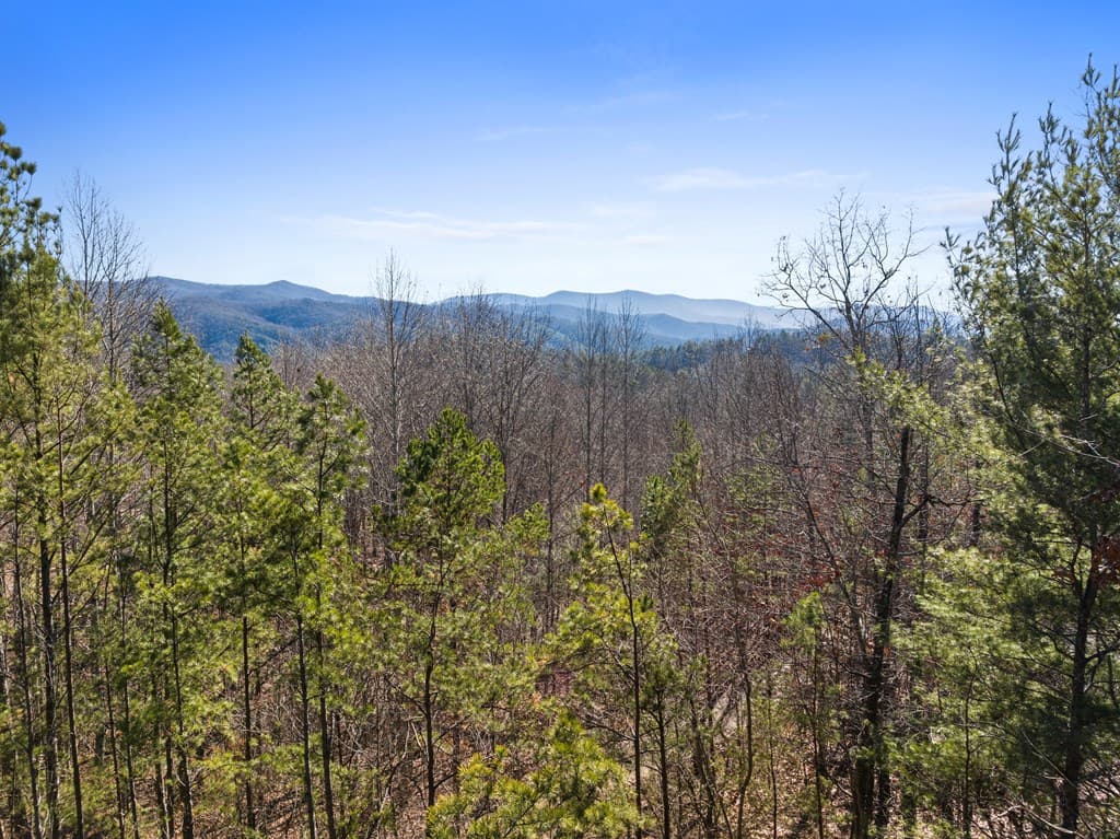 572 Left Turn, Blue Ridge GA 30513 - Photo