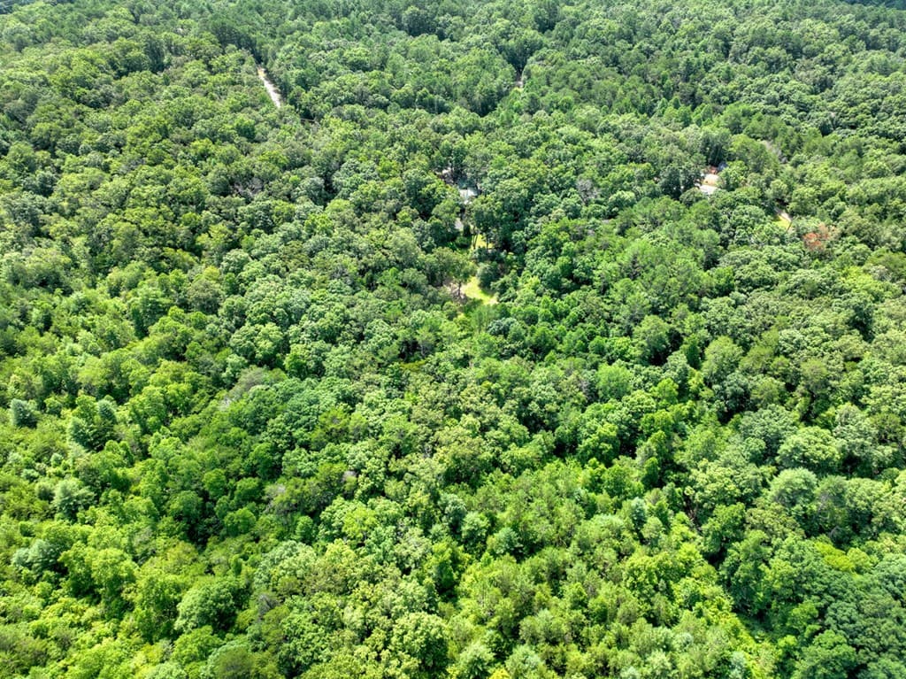 88 Wagon Tracks Ridge, Mineral Bluff GA 30559 - Photo