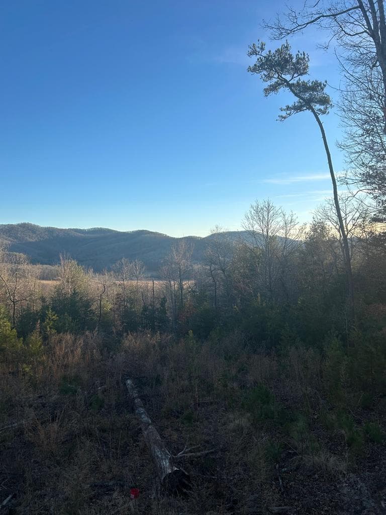 0 Stanleys Ridge, Morganton GA 30560 - Photo