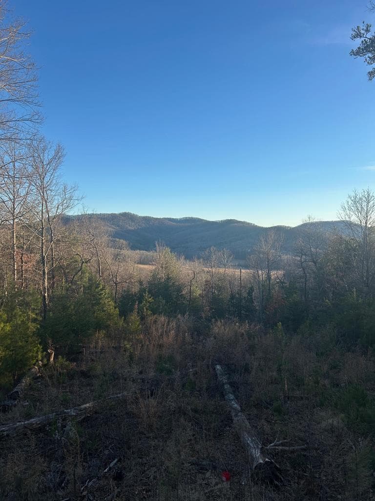 0 Stanleys Ridge, Morganton GA 30560 - Photo