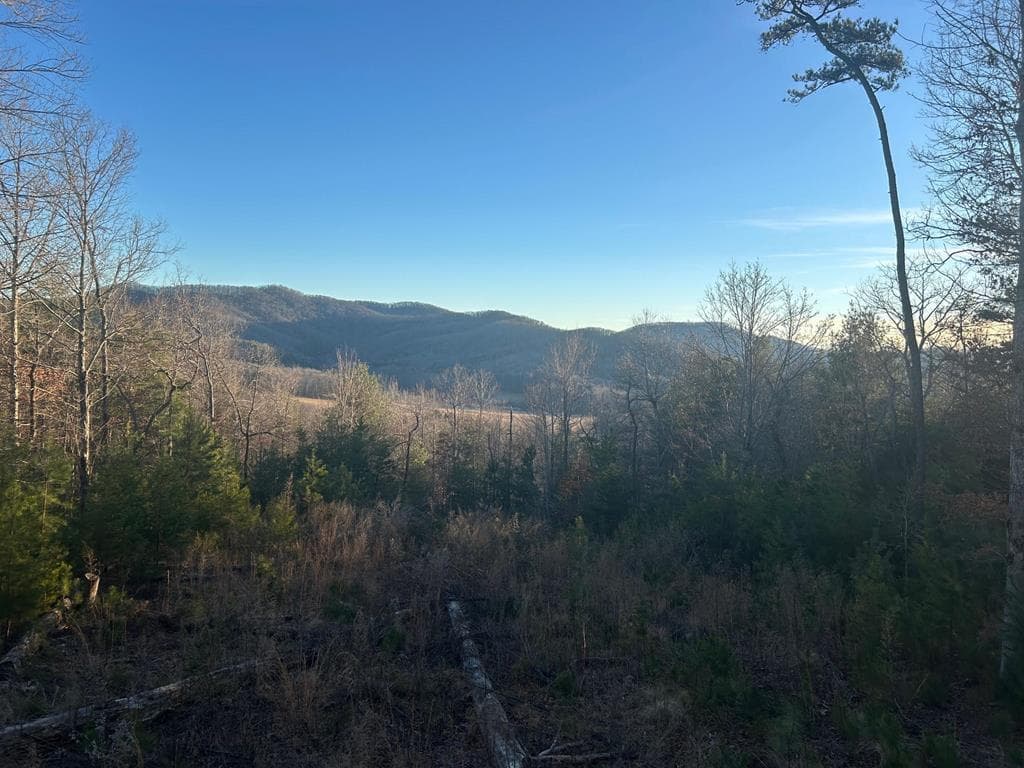 0 Stanleys Ridge, Morganton GA 30560 - Primary photo