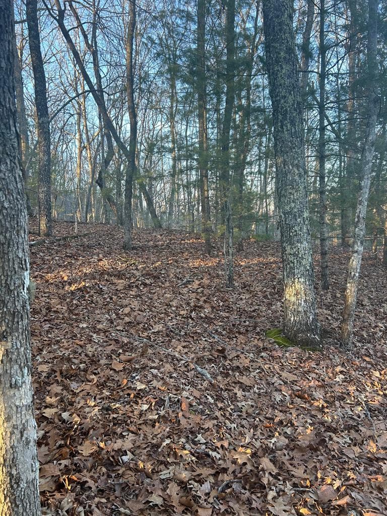 0 Stanleys Ridge, Morganton GA 30560 - Photo