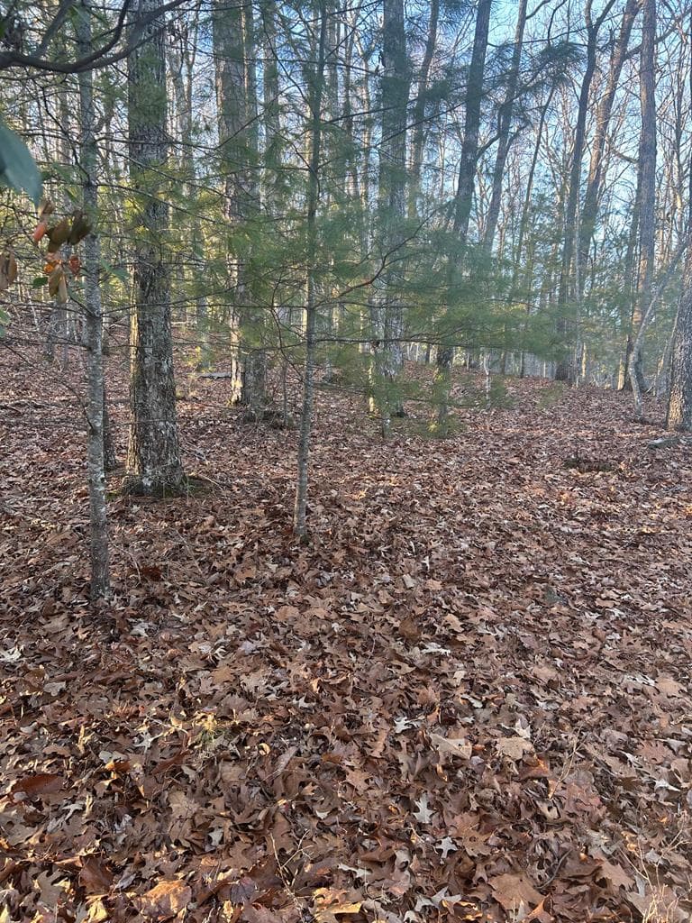 0 Stanleys Ridge, Morganton GA 30560 - Photo